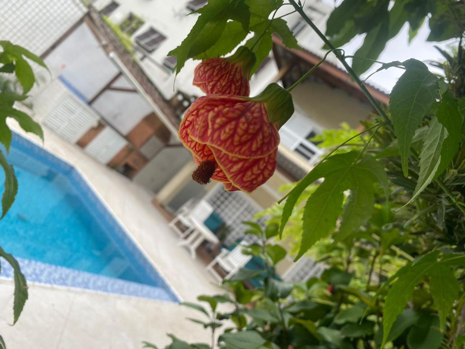Pousada Do Tio Cido กัวรูจา ภายนอก รูปภาพ